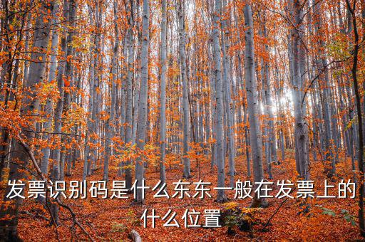 河北發(fā)票識(shí)別碼是什么意思，發(fā)票的識(shí)別碼是不是繳稅單位的稅號(hào)