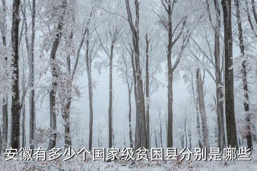 壽縣稅務(wù)局在什么地方，壽縣在什么地方