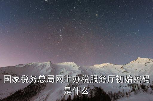 國家稅務總局網(wǎng)上辦稅服務廳初始密碼是什么