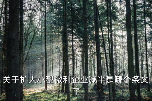 小型微利企業(yè)減半什么意思，遼寧小微企業(yè)所得稅減半征收是什么意思