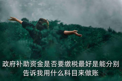 政府補貼交什么稅，關(guān)于政府補助的納稅問題 請高手來回答啊 謝謝