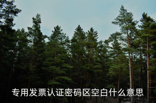 河南發(fā)票密碼是什么意思，專用發(fā)票認(rèn)證密碼區(qū)空白什么意思