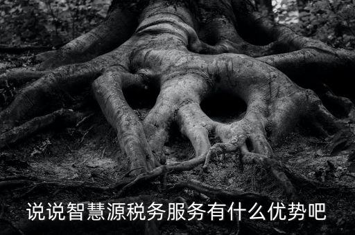 說說智慧源稅務(wù)服務(wù)有什么優(yōu)勢(shì)吧
