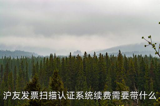 滬友發(fā)票掃描認(rèn)證系統(tǒng)續(xù)費(fèi)需要帶什么