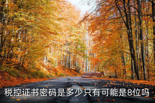 稅控證書密碼是多少只有可能是8位嗎