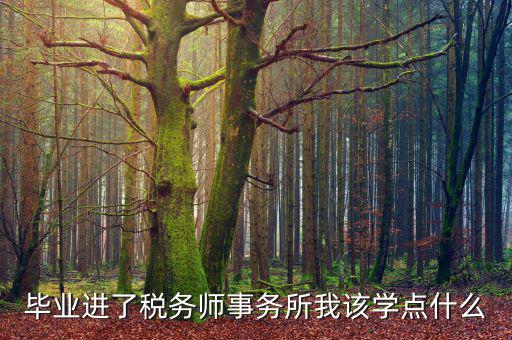 納稅人學堂講什么，稅務(wù)實務(wù)課講什么