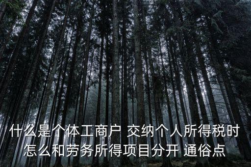 什么叫個體工商戶經(jīng)營所得，個體工商戶的生產(chǎn)經(jīng)營所得是指什么