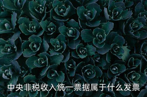 非稅發(fā)票是什么，中央非稅收入統(tǒng)一票據(jù)屬于什么發(fā)票