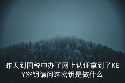 稅務(wù)認證密碼是什么，昨天到國稅申辦了網(wǎng)上認證拿到了KEY密鑰請問這密鑰是做什么