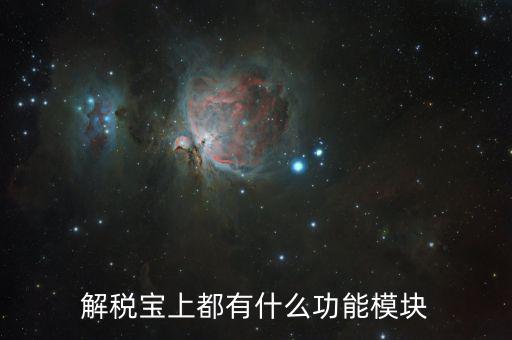 稅寶是什么意思，解稅寶上都有什么功能模塊