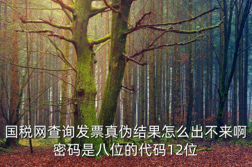 國(guó)稅局發(fā)票真?zhèn)尾樵兠艽a是什么，國(guó)稅網(wǎng)查詢發(fā)票真?zhèn)谓Y(jié)果怎么出不來(lái)啊密碼是八位的代碼12位