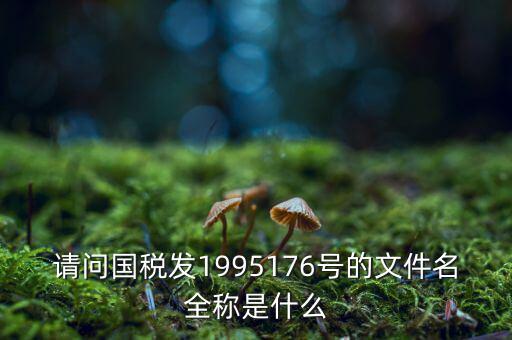 國稅初始化文件是什么字頭，稅務(wù)申報(bào)材料初始化是什么意思