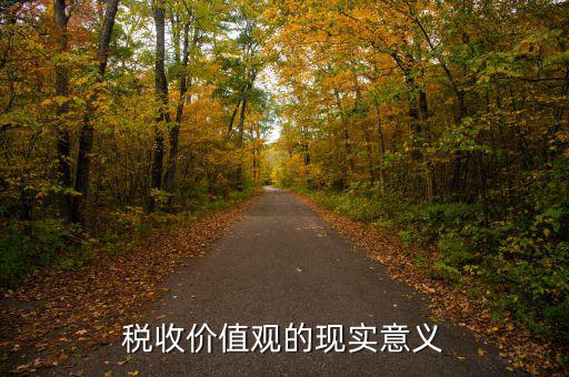 稅務(wù)精神凝聚著什么用，稅收價值觀的現(xiàn)實意義