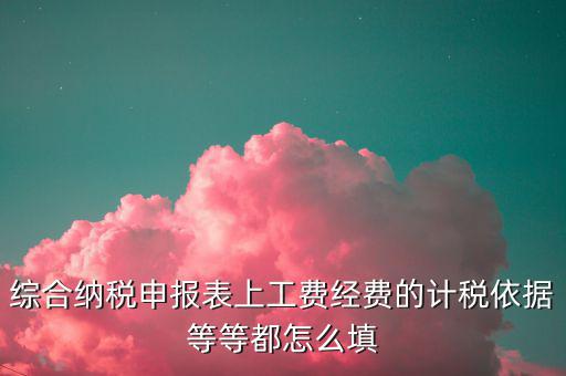綜合納稅申報表上工費經(jīng)費的計稅依據(jù)等等都怎么填