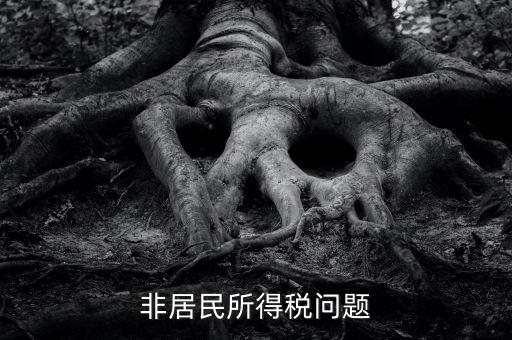 有什么是非居民企業(yè)，個(gè)私企業(yè)的范圍除了個(gè)體戶還包括哪些性質(zhì)的企業(yè)