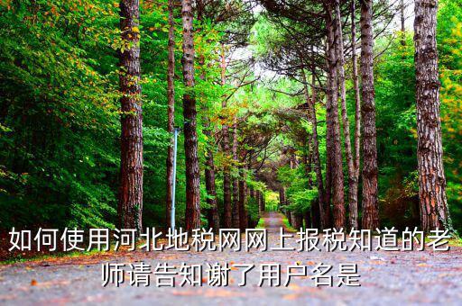 河北省地稅登陸的用戶名是什么意思，在網(wǎng)上報(bào)稅登陸時(shí)用戶名是什么