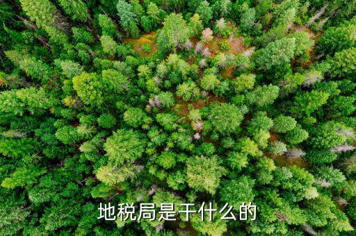地稅主要負(fù)責(zé)什么工作總結(jié)，地稅局一般做什么工作啊
