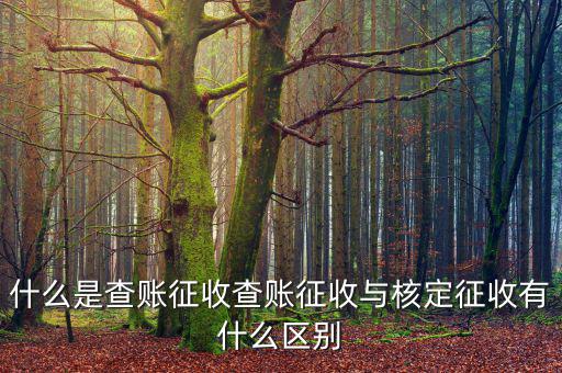 什么是查賬征收和核定征收，查賬征收與核定征收的區(qū)別是什么
