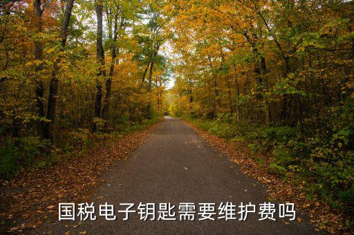 辦稅鑰匙是什么意思，網(wǎng)上報(bào)稅請(qǐng)插入電子令牌是什么意思