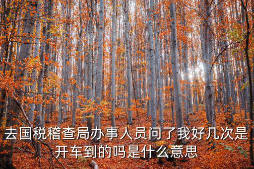 國(guó)稅說(shuō)需要運(yùn)維是什么意思，什么條件需要辦理國(guó)稅我是一個(gè)月收入2千左右的維修小檔口也要輸