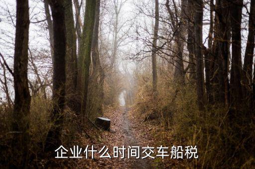 什么時(shí)候申報(bào)車船稅，車船稅應(yīng)當(dāng)在什么時(shí)候申報(bào)繳納 承德