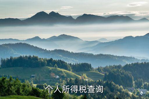 個(gè)人所得稅查詢(xún)