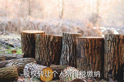 股權(quán)轉(zhuǎn)讓如何繳納個(gè)稅，個(gè)人股權(quán)轉(zhuǎn)讓如何納稅