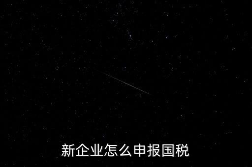新企業(yè)怎么申報(bào)國稅