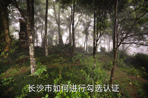 如何進(jìn)行網(wǎng)上勾選，對(duì)方開出增值稅專用發(fā)票多長(zhǎng)時(shí)間可以進(jìn)行網(wǎng)上勾選認(rèn)證