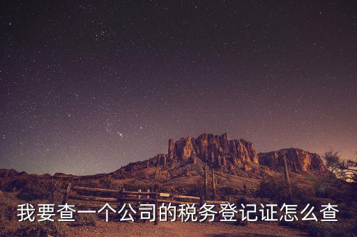 股東如何查詢企業(yè)稅務，我要查一個公司的稅務登記證怎么查