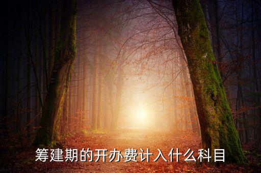 公司籌建期的費(fèi)用計(jì)入什么科目，籌建期的開(kāi)辦費(fèi)計(jì)入什么科目