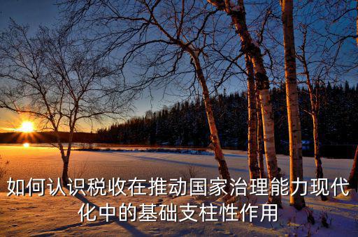 如何認(rèn)識(shí)稅收在推動(dòng)國家治理能力現(xiàn)代化中的基礎(chǔ)支柱性作用