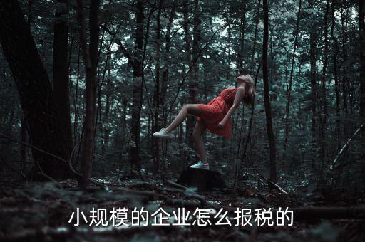 小規(guī)模納稅人如何申報，小規(guī)模增值稅申報流程