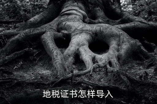 如何導(dǎo)入地稅證書，地稅證書怎樣導(dǎo)入