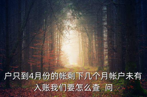 戶只到4月份的帳剩下幾個(gè)月帳戶未有入賬我們要怎么查  問(wèn)