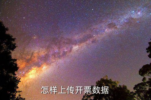 如何上傳進(jìn)項(xiàng)發(fā)票明細(xì)，怎樣上傳開票數(shù)據(jù)