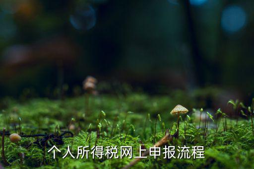 如何網(wǎng)上申請個稅，個人所得稅網(wǎng)上申報流程
