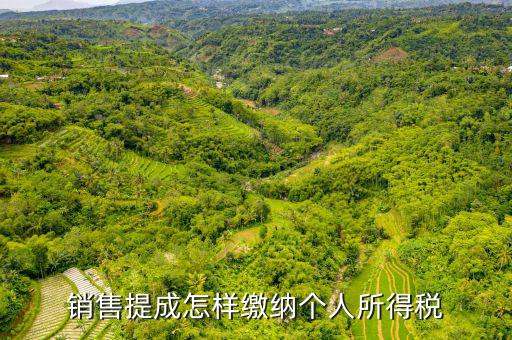 支付個(gè)人的銷售回扣如何征收個(gè)稅，付別人回扣5791462元 如何扣取個(gè)人所得稅請(qǐng)老師詳解在此感