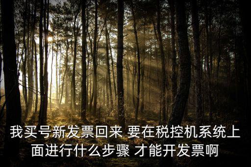 稅控系統(tǒng)如何開票，我買號(hào)新發(fā)票回來 要在稅控機(jī)系統(tǒng)上面進(jìn)行什么步驟 才能開發(fā)票啊