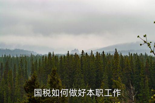 如何做好基層國稅工作，如何做好新形勢下的國稅工作