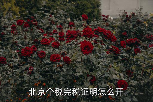 北京如何打印個(gè)人所得稅完稅證明，北京個(gè)稅完稅證明怎么開