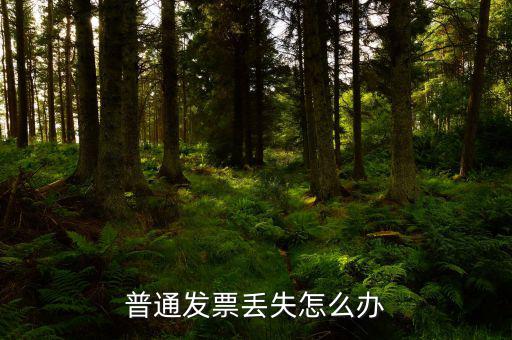 普票發(fā)票聯(lián)丟失如何入賬，企業(yè)開具的增值稅普通發(fā)票記賬聯(lián)丟失怎么處理