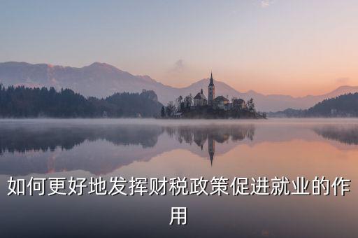 如何更好地發(fā)揮財稅政策促進(jìn)就業(yè)的作用