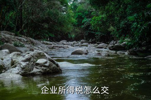 企業(yè)所得稅如何繳納，企業(yè)所得稅如何繳納
