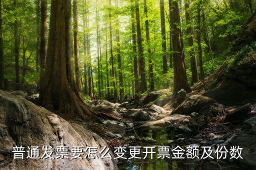 如何申請(qǐng)發(fā)票額度變更，普通發(fā)票要怎么變更開票金額及份數(shù)
