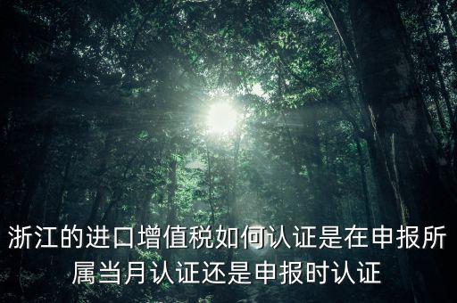 浙江國稅進(jìn)口發(fā)票如何認(rèn)證，浙江的進(jìn)口增值稅如何認(rèn)證是在申報(bào)所屬當(dāng)月認(rèn)證還是申報(bào)時(shí)認(rèn)證