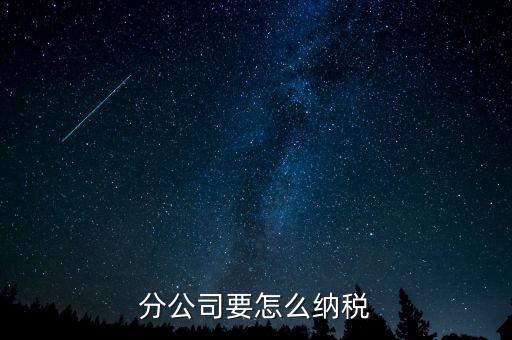 分支機構(gòu)如何納稅，分支機構(gòu)增值稅怎樣繳納