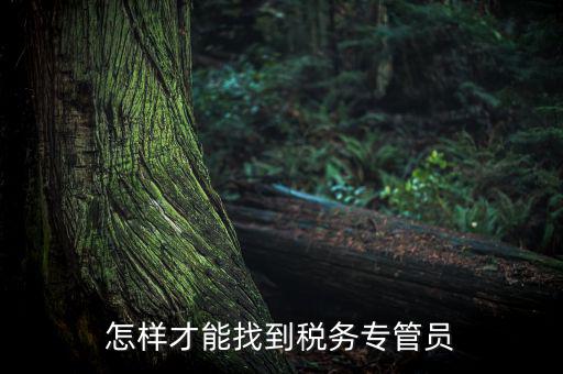 如何查詢辦稅人員，誰(shuí)能告訴我不去稅務(wù)局怎么樣查詢專管員