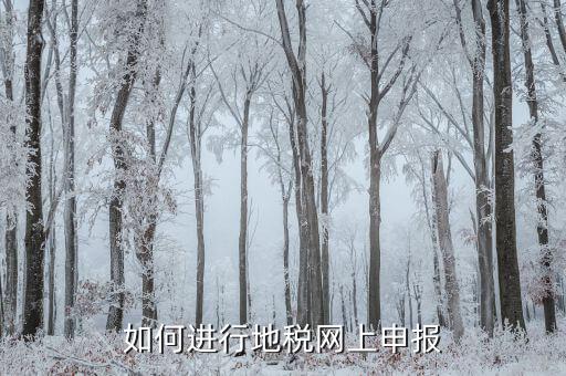 地稅如何進(jìn)行網(wǎng)上申報(bào)，如何進(jìn)行地稅網(wǎng)上申報(bào)