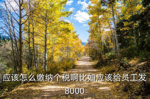 企業(yè)員工的個(gè)人所得稅如何繳納，應(yīng)該怎么繳納個(gè)稅啊比如應(yīng)該給員工發(fā)8000